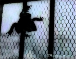 Ken-Ichi Murata photography