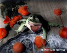 Ken-Ichi Murata photography