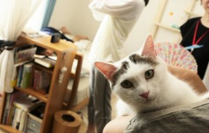 mv5bzjfkmzqxmjutotvhyy00y2nmlwi0otetnjm5owe1zjuym2zjxkeyxkfqcgdeqxvymty1nzy2na@@._v1_