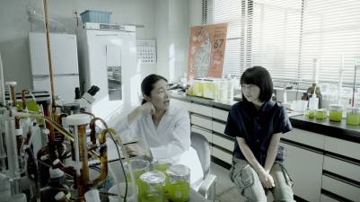 screenshot-6-1595x897