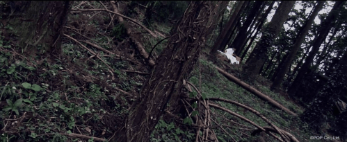 vlcsnap-2020-01-24-12h40m58s702