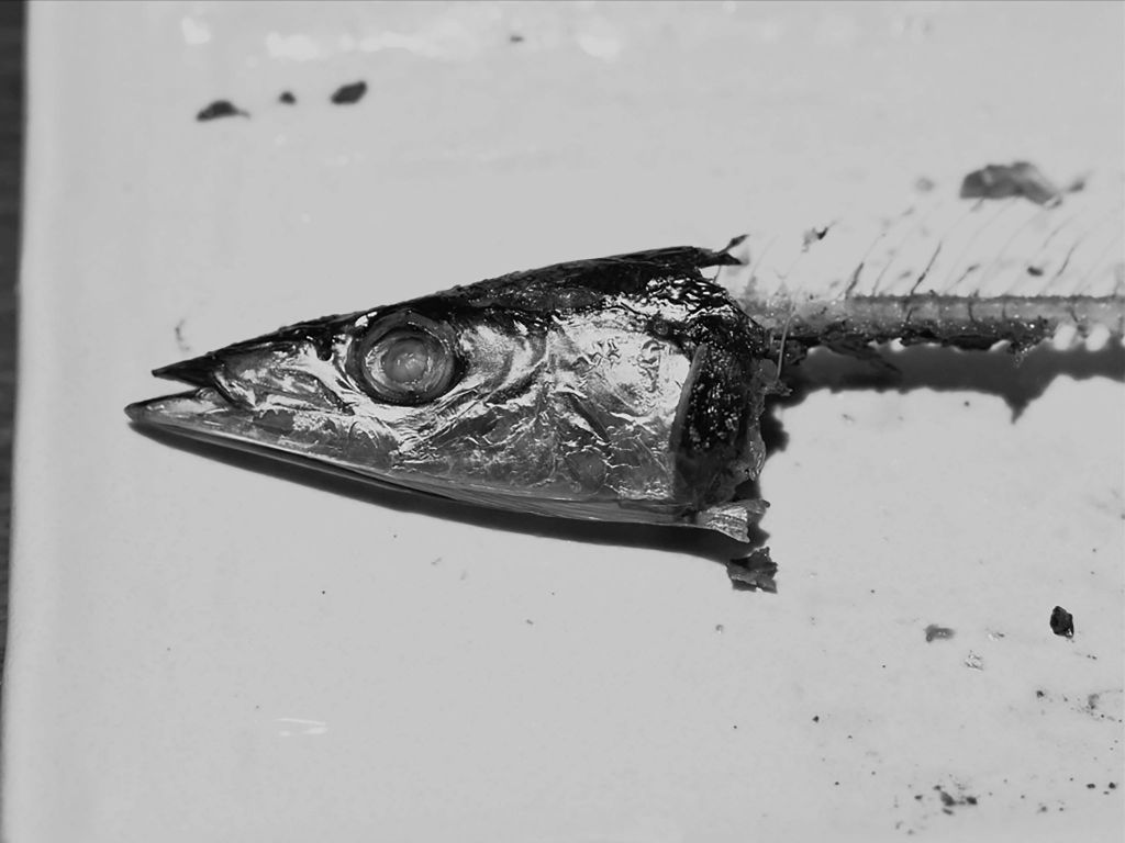 Kyo-netsu (2017) by Yuji Mitsuhashi