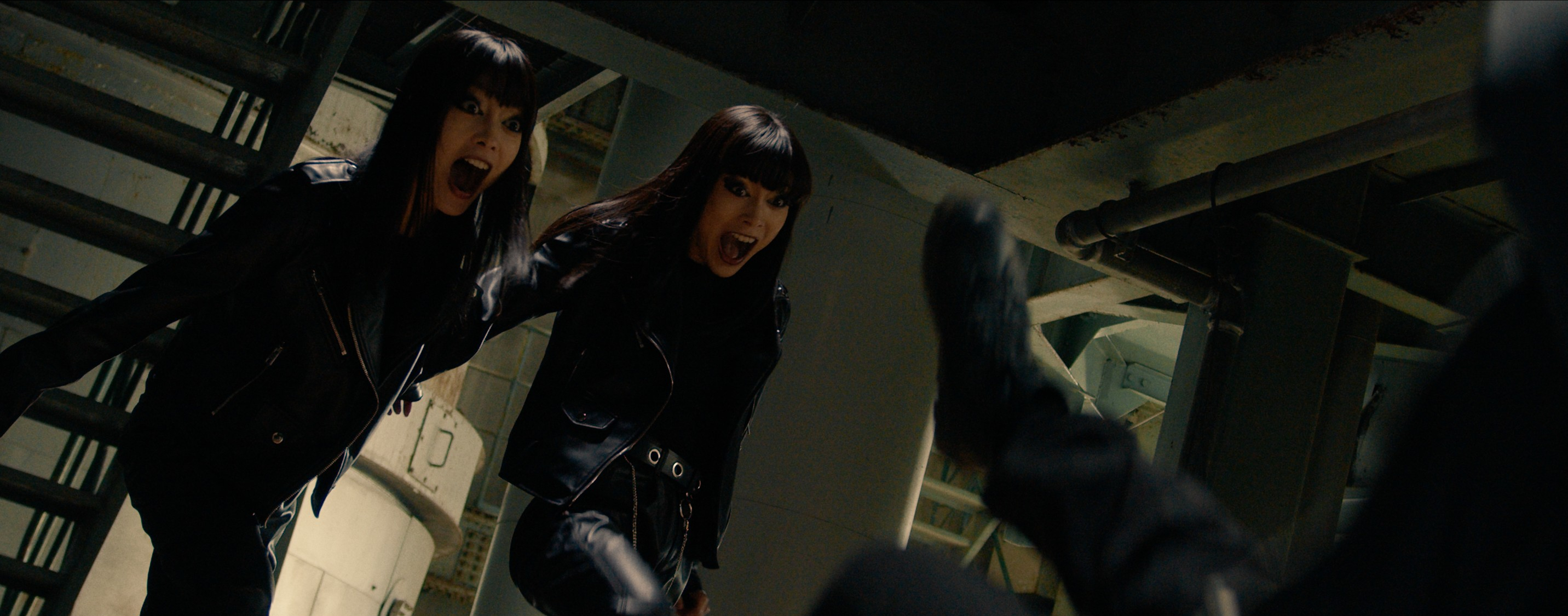 Mad Cats (2023) by Reiki Tsuno