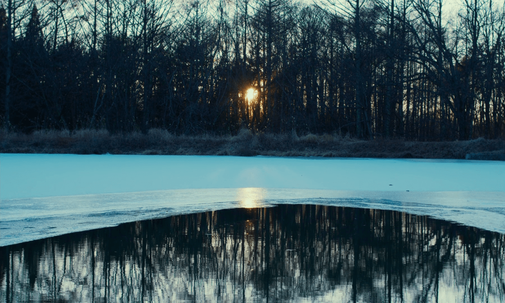 Evil does not exist (2023) by Ryusuke Hamaguchi